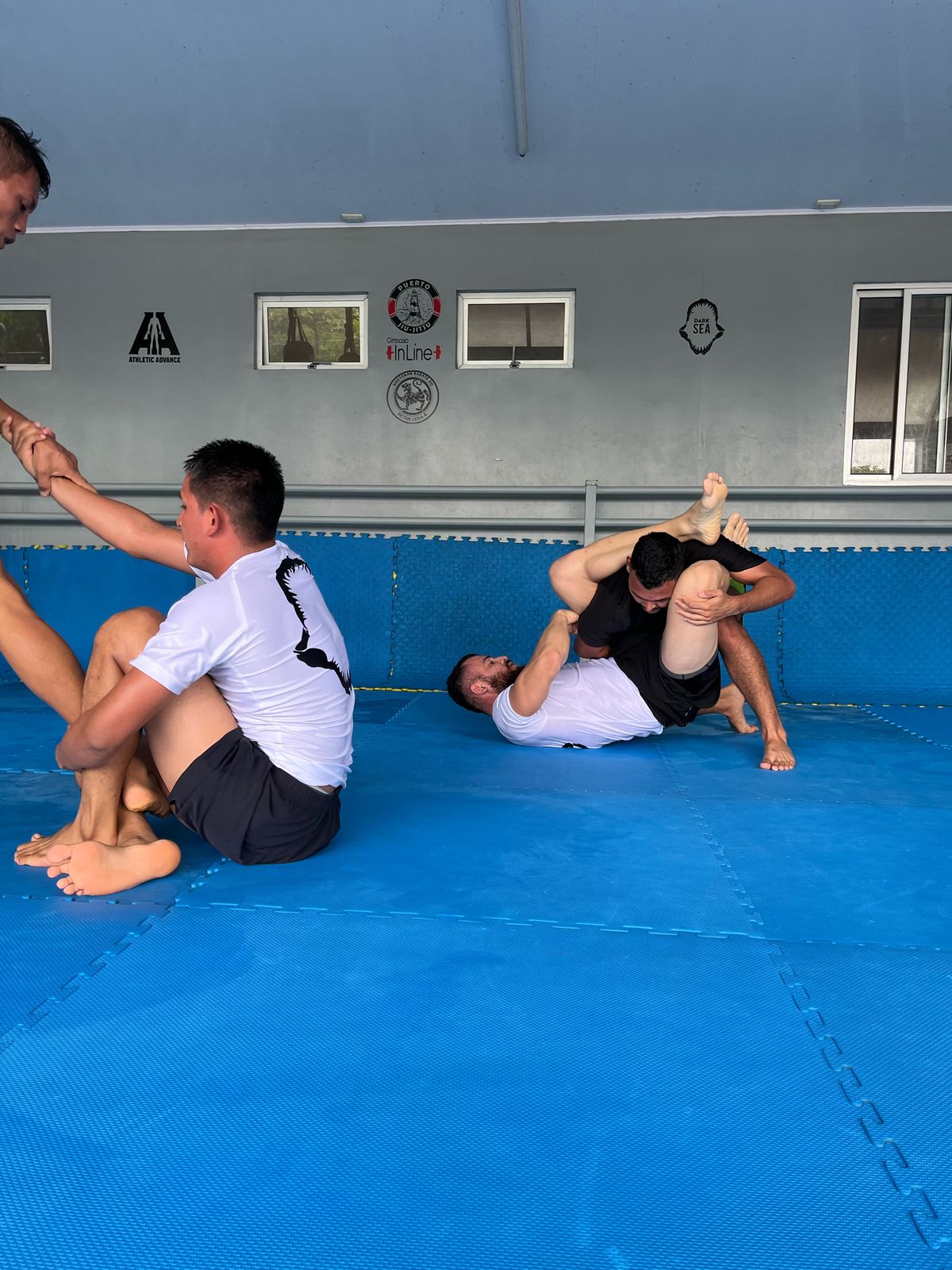 Jiu-Jitsu No-Gi - Entrenamiento moderno